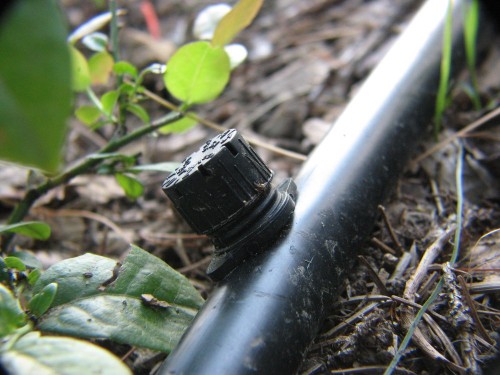 Adjustable spray nozzle, works great with low-pressure lines and is fairly cheap.
